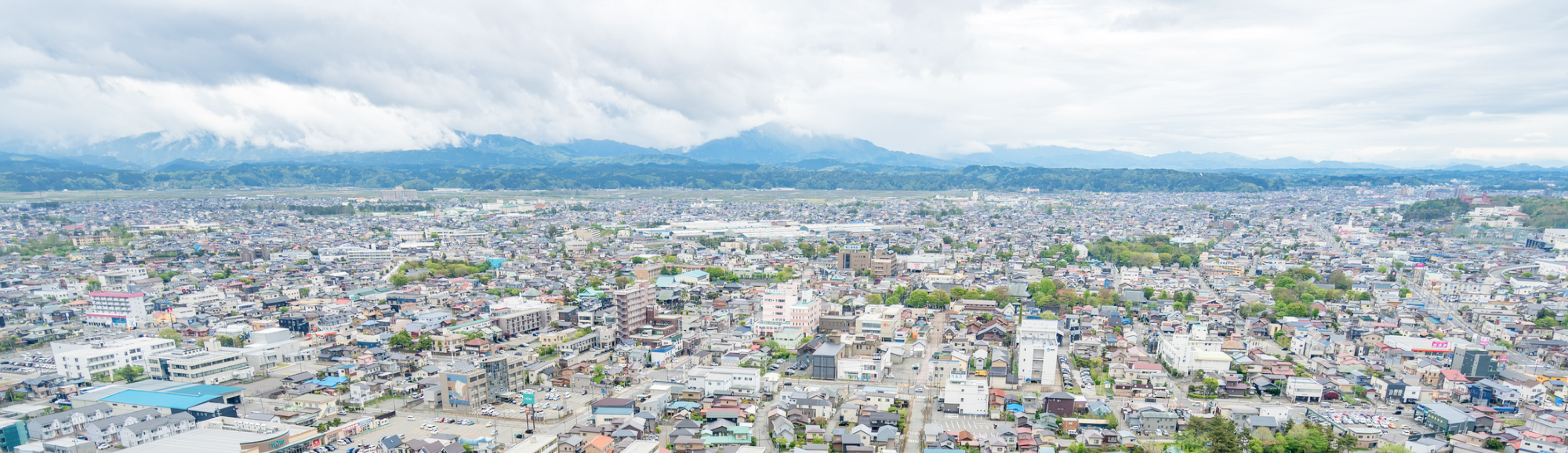 藤工　エントリーフォーム